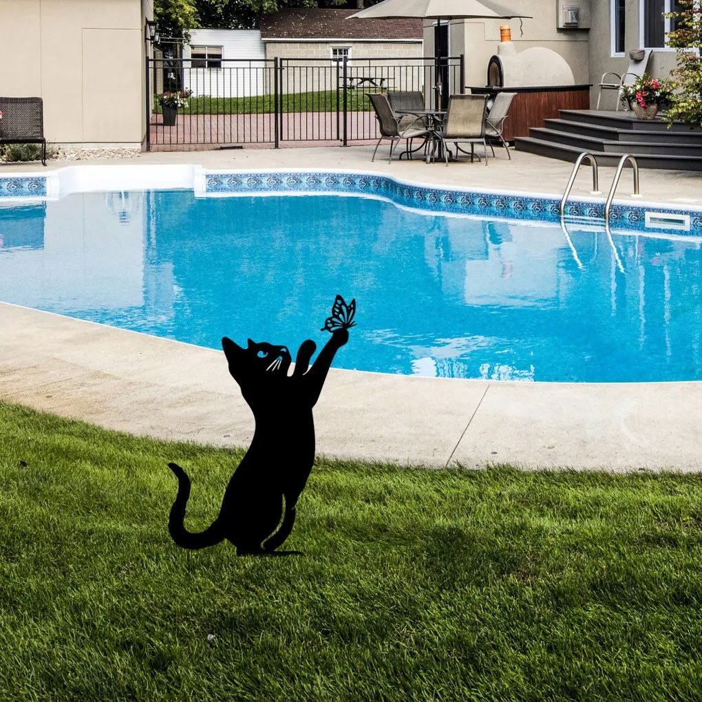 Cat 01