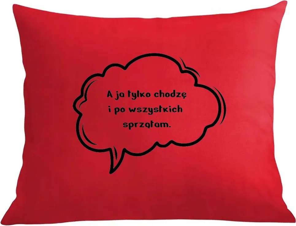 Párna párnahuzat Mindenkit takarítok