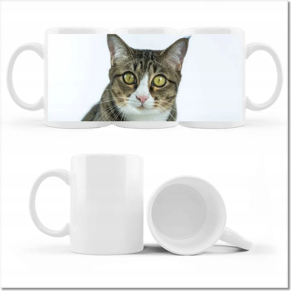 Nyomott mintás bögre Cica Cicák Macskák