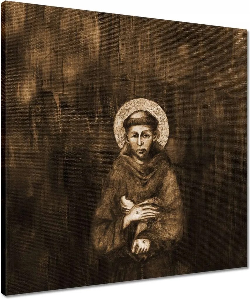 Vászonkép 50x50 Szent Ferenc védőszent