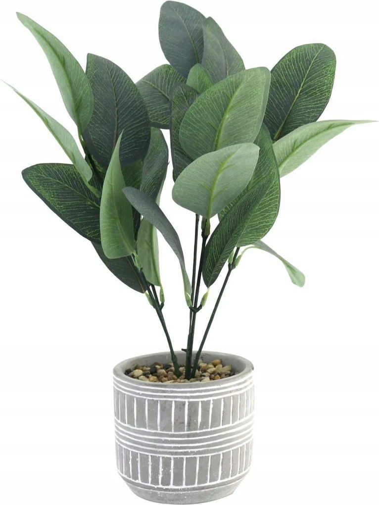 Műnövény Beton Cserépben Mediterrán Stílus