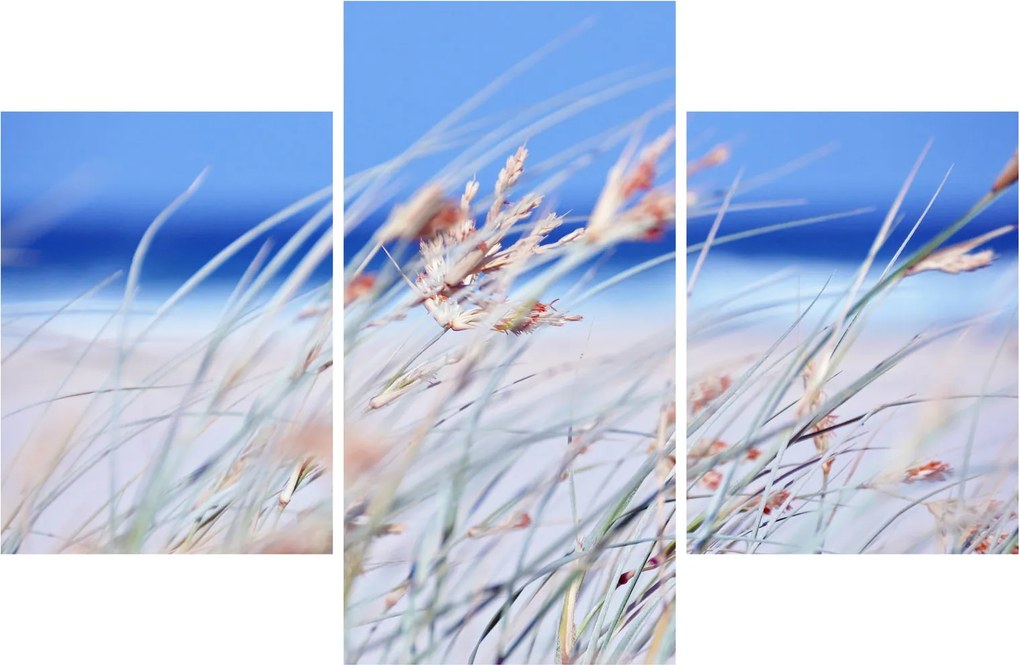 Kép - Szellő (90x60 cm)