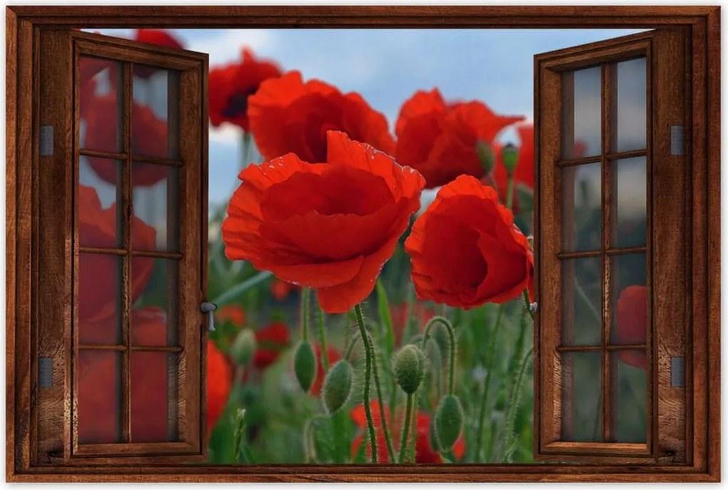 Poszterek 60x40 Mezei pipacsok az égbolt hátterében