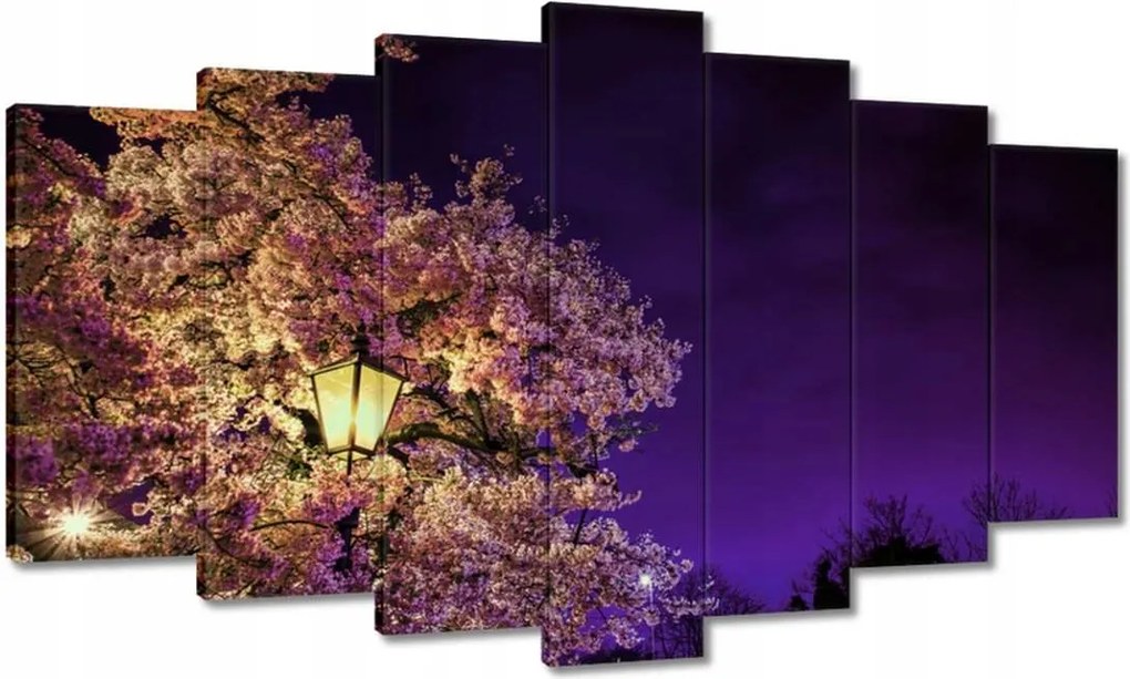 Festmények 140x80 Éjszakai motívum a nappaliba