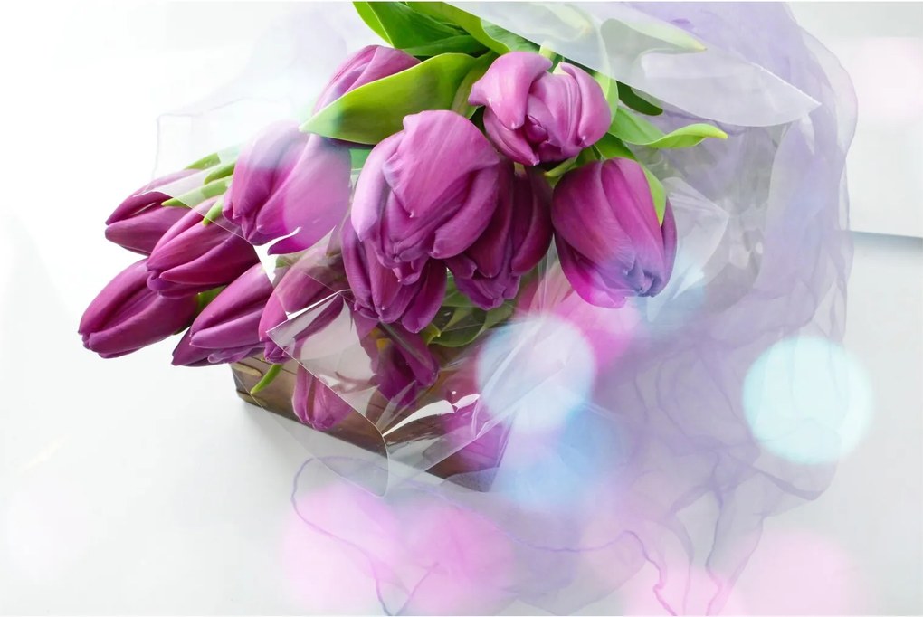 Kép - csokor tulipán (90x60 cm)