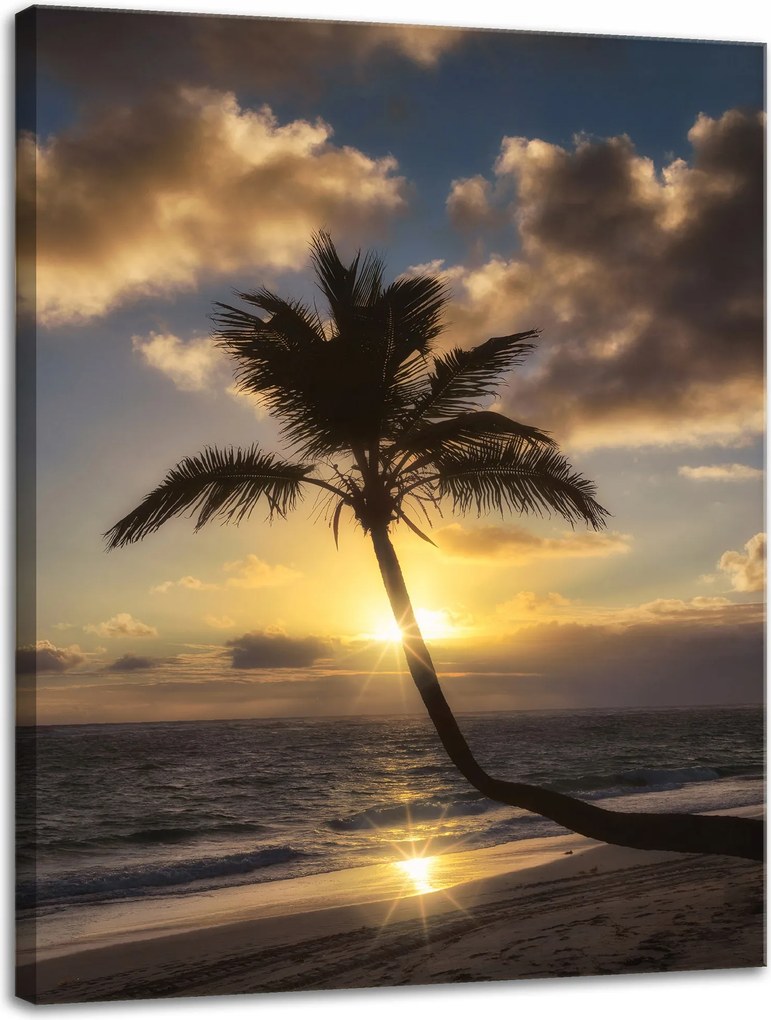 Vászonkép Natura Palma a nyugat között 30x40