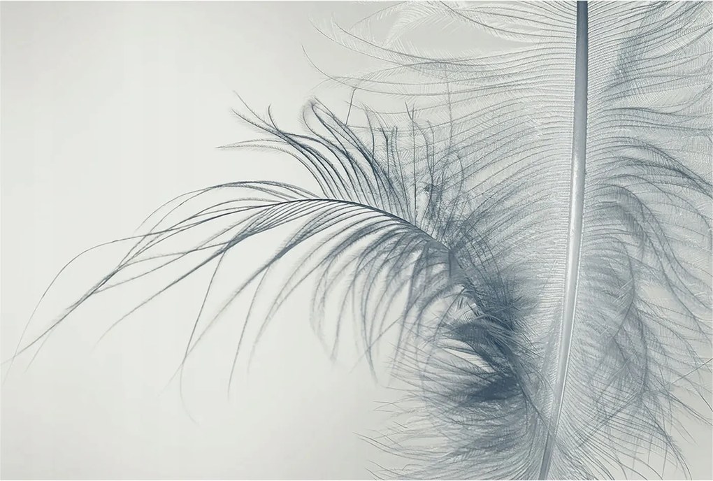 Fotótapéta Flizelin Dekoratív az irodába Finom toll 104x70 Ragasztó