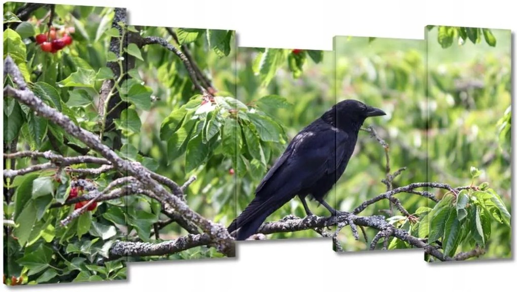 Vászonkép 150x80 Madarak