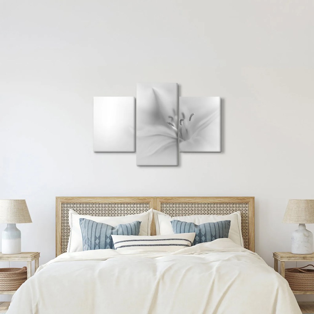 Kép - Delicate Lily (90x60 cm)