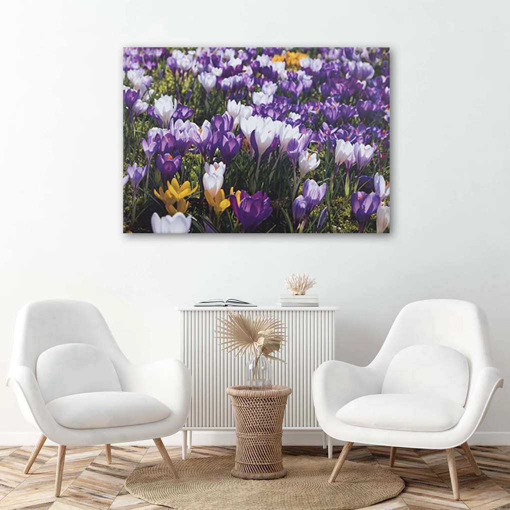 Gario Vászonkép Tavaszi krókuszok a réten Méret: 100 x 70 cm