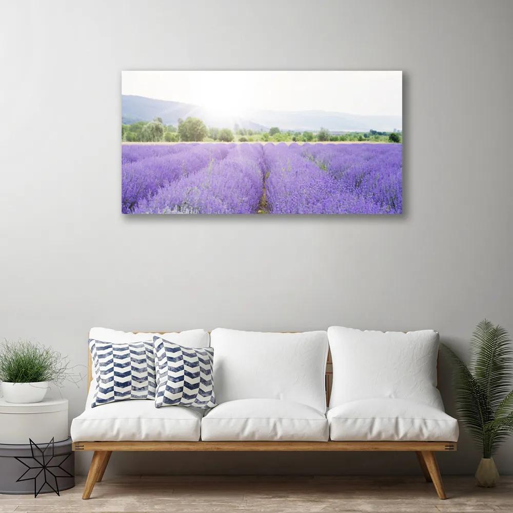 Vászonkép Lavender Field Mező Természet 140x70 cm