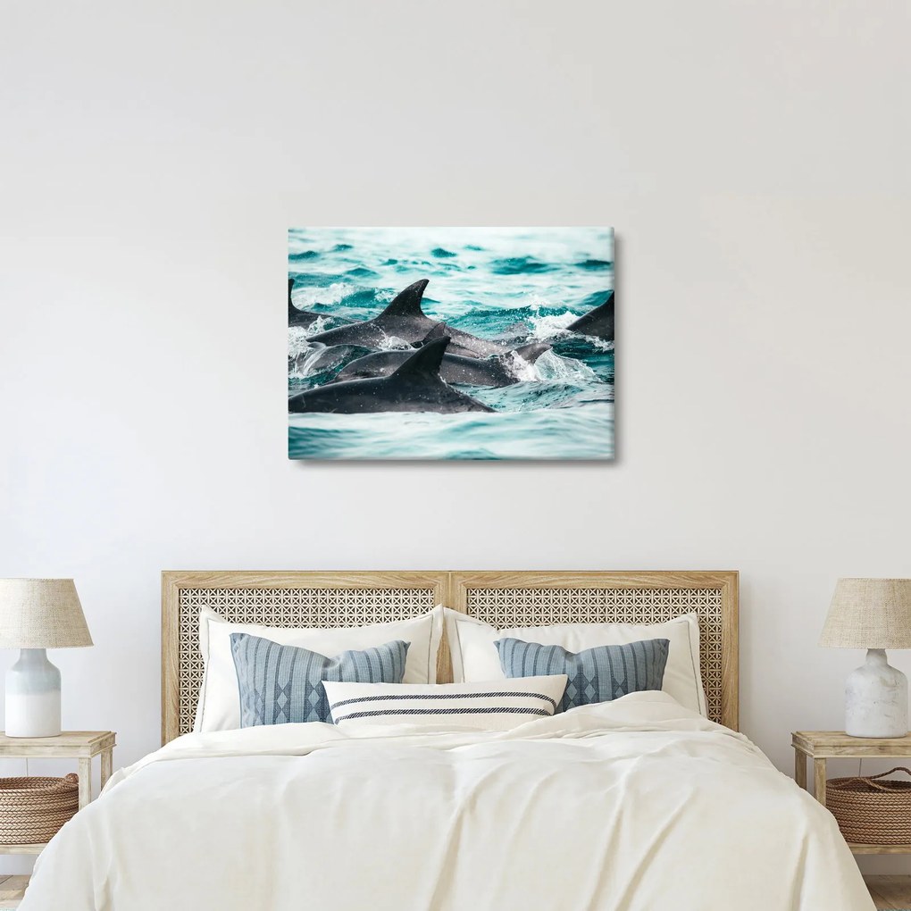 Kép - Delfinek az óceánban (70x50 cm)