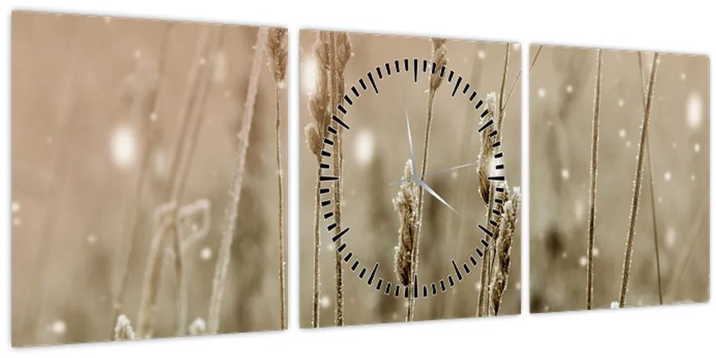 Kép - Harmonikus rét (órával) (90x30 cm)