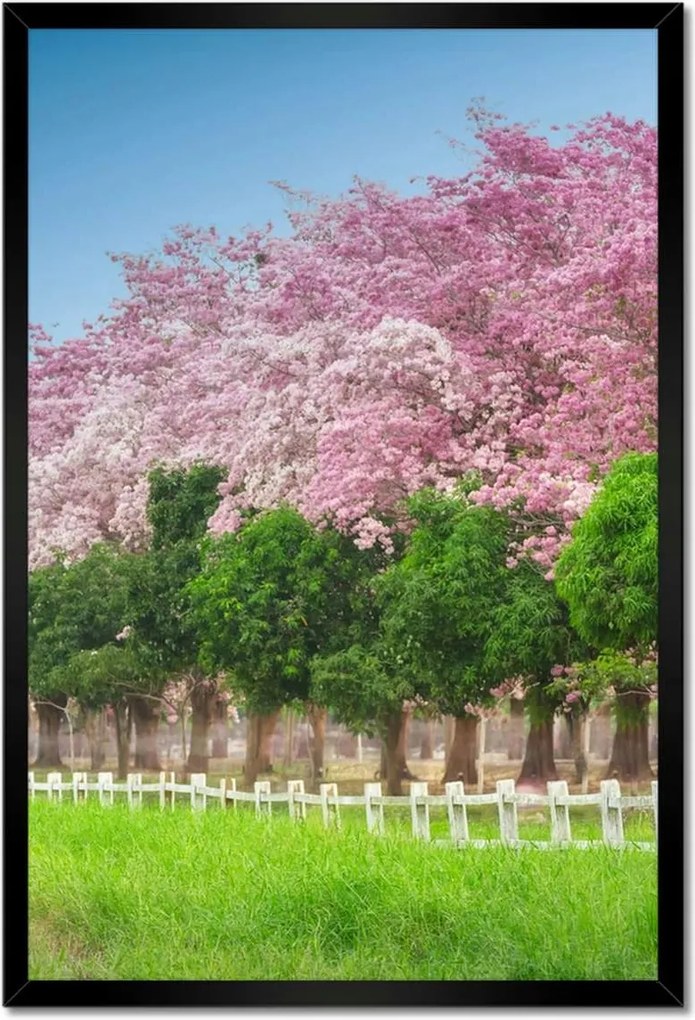 Poszterek keretben 40x60 Cseresznye tájkép