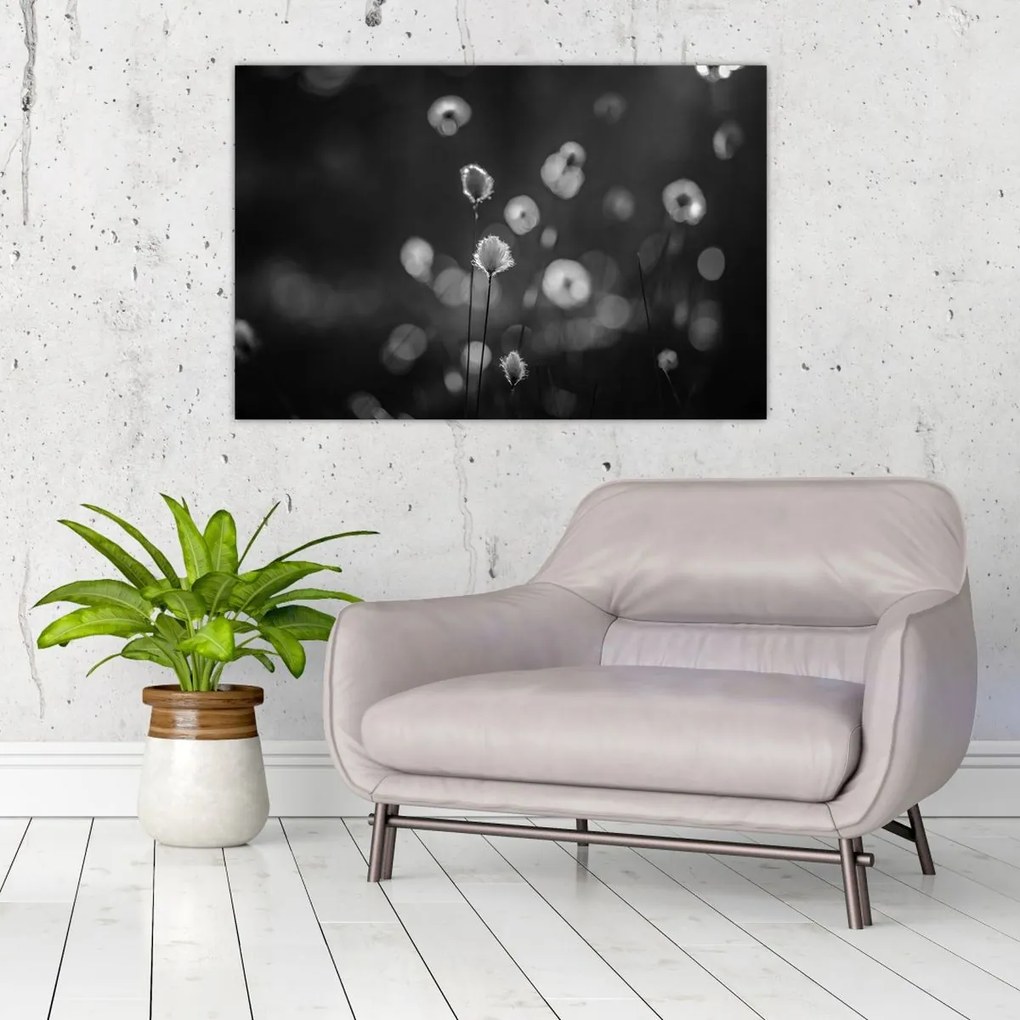 Kép - Pamutfű a réten (90x60 cm)