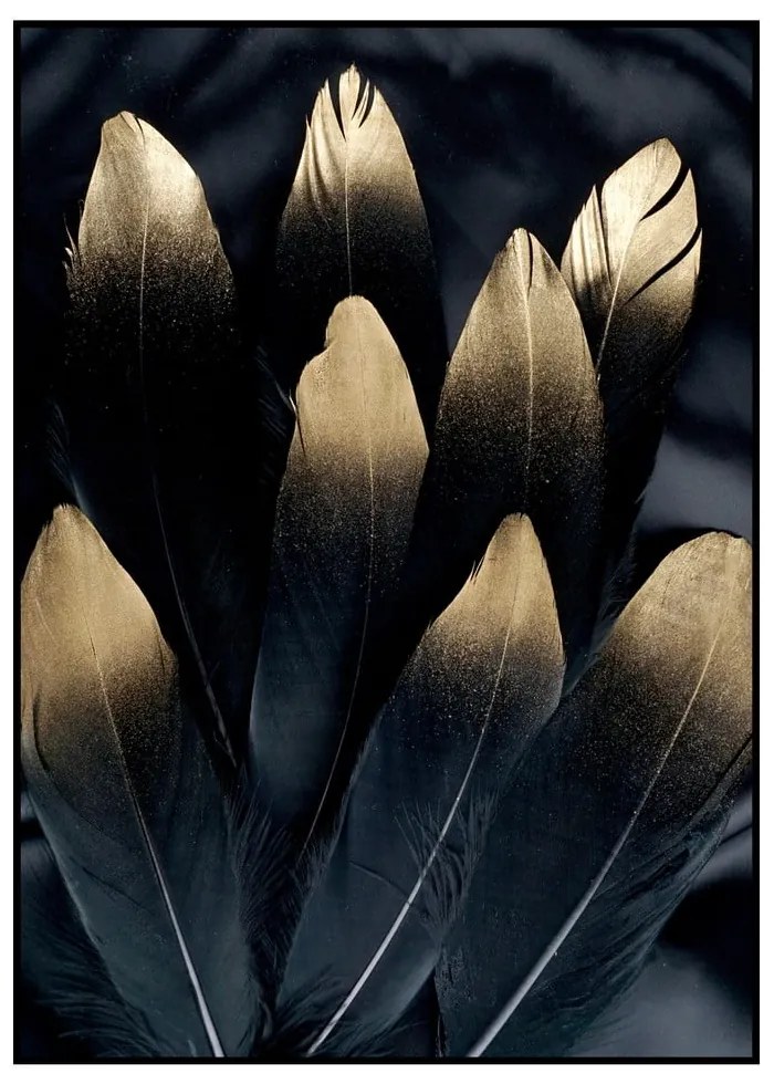Kép 50x70 cm Golden Feather – Malerifabrikken