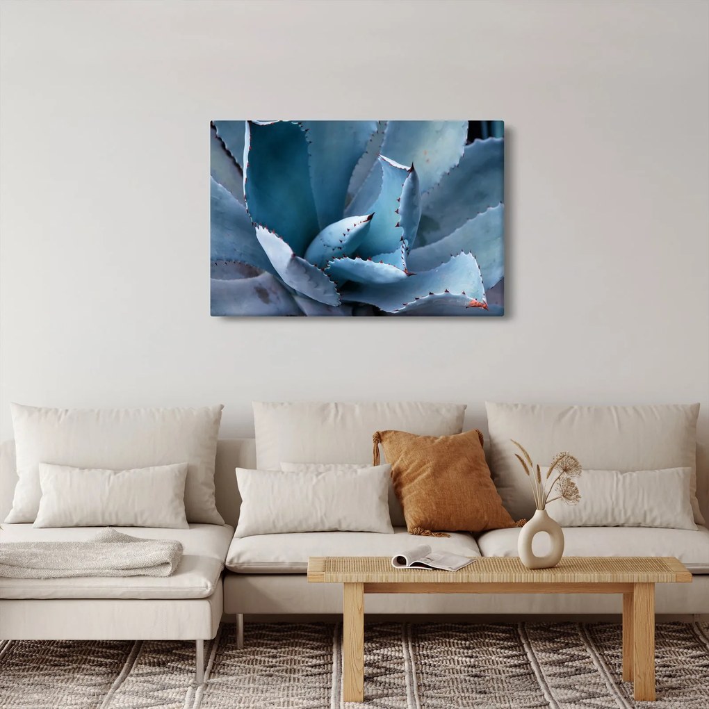 Kép - Agave (90x60 cm)