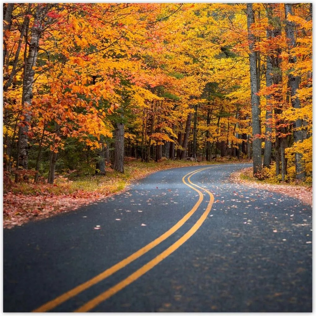 Poszterek 30x30 Tájkép Látvány