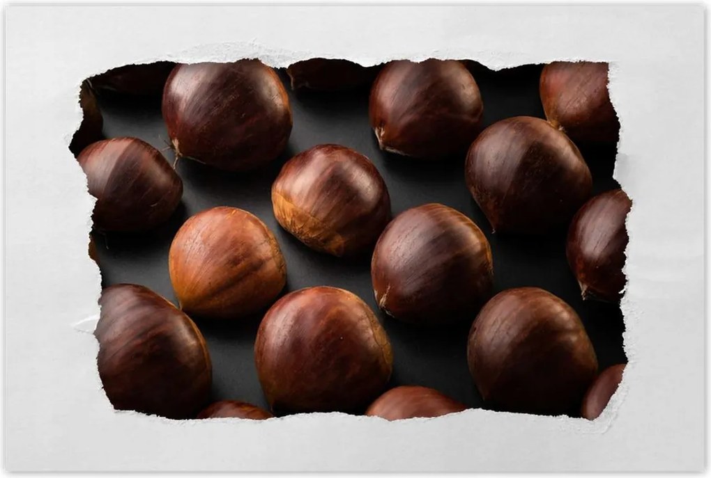 Poszterek 90x60 Kormány Ehető gesztenye