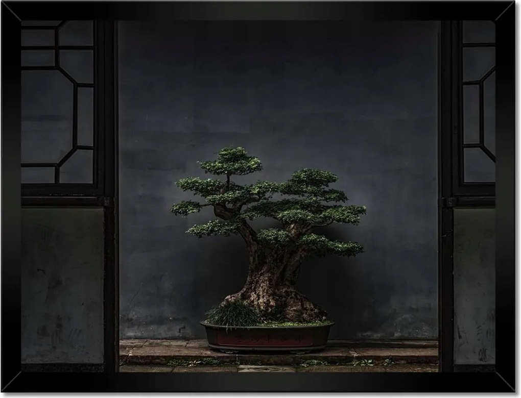 Poszterek keretben 40x30 Bonsai Fa Kultúra