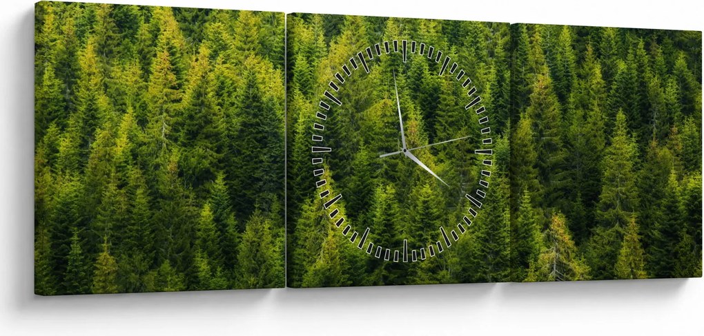 Kép - sűrű erdő (órával) (90x30 cm)