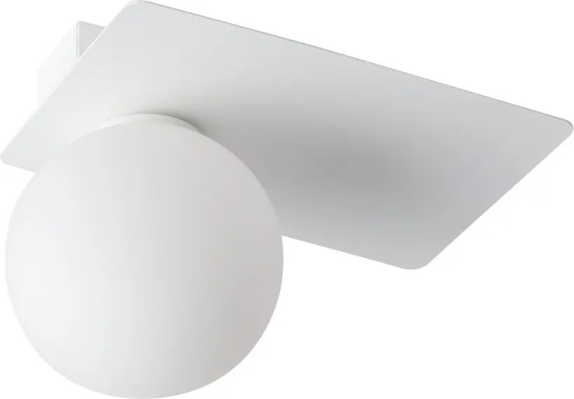 SIGMA 33272 ARGON Modern Mennyezeti Lámpa G9 IP20