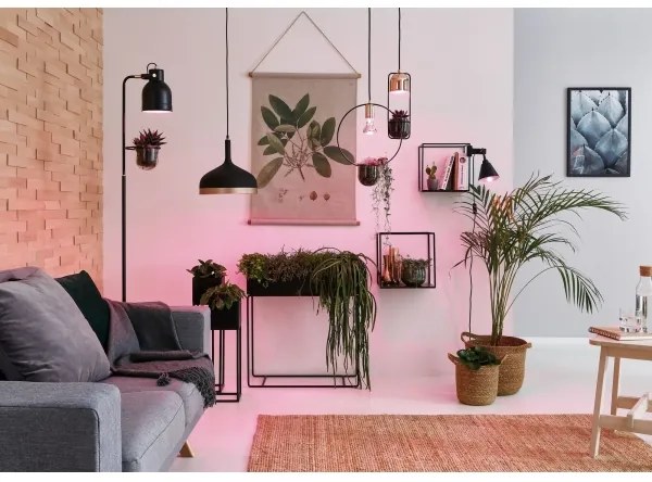 Paulmann 79749 - 1xGU10/20W Csillár zsinóron FANJA 230V