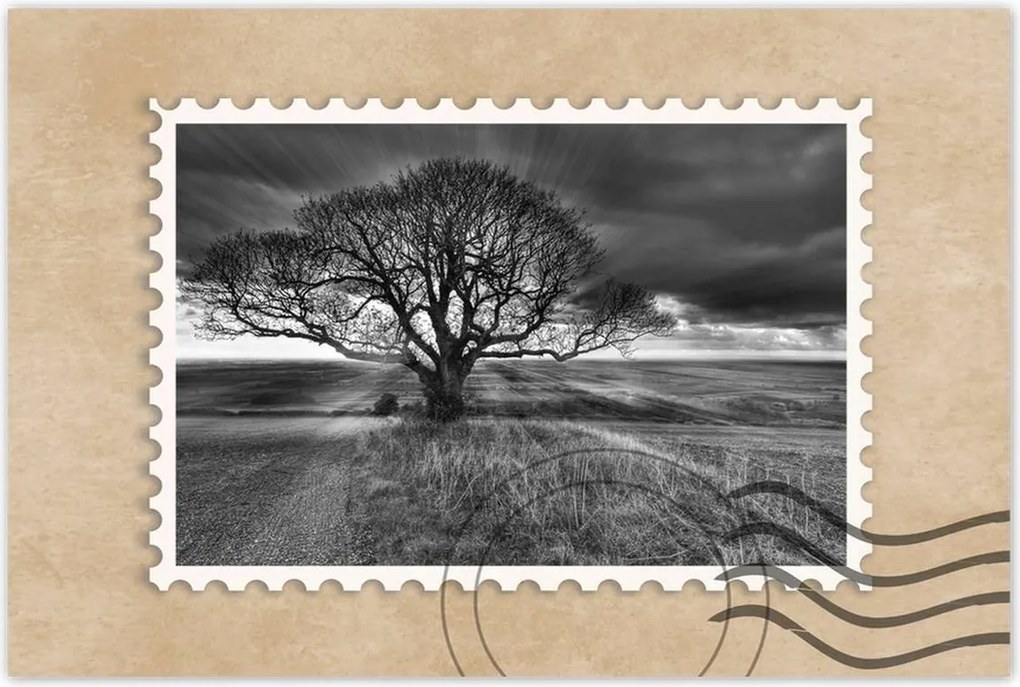 Poszterek 90x60 Gyönyörű naplemente