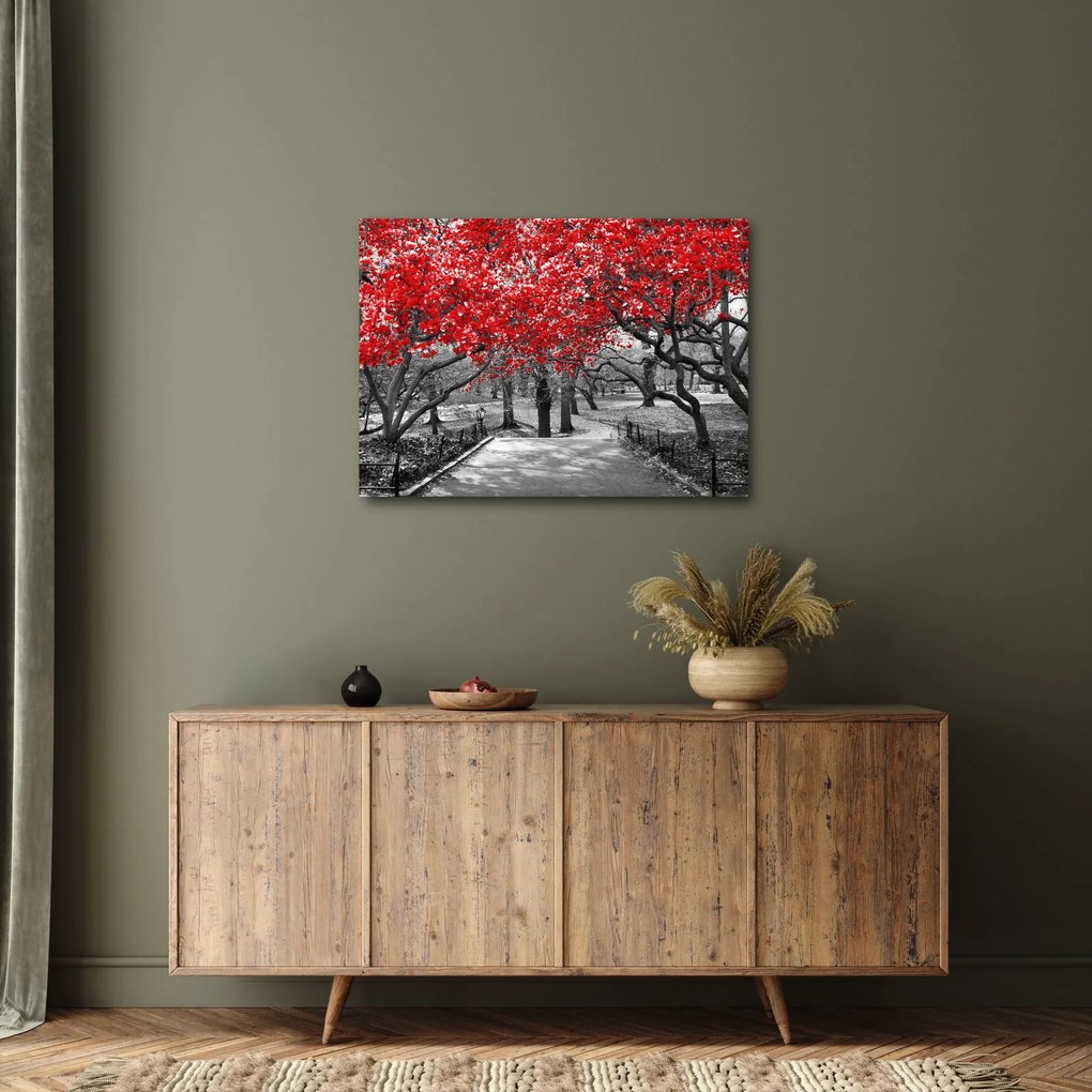 Kép - vörös fák,Central Park, New York (70x50 cm)