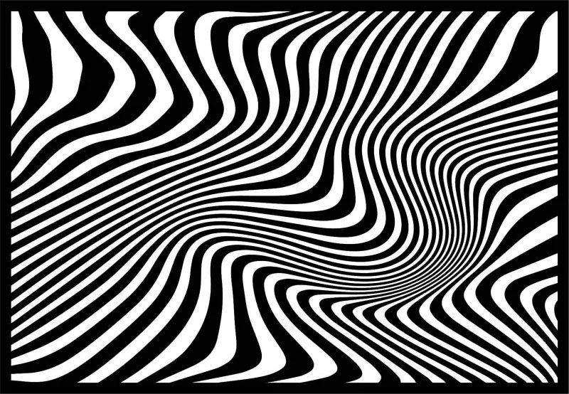 Dekoratív falfestmény zebra és fekete