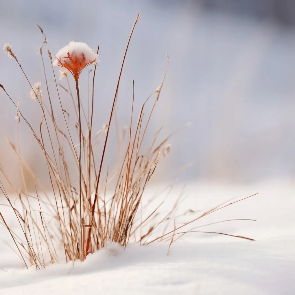 Poszter 20x20cm Tél a részletekben