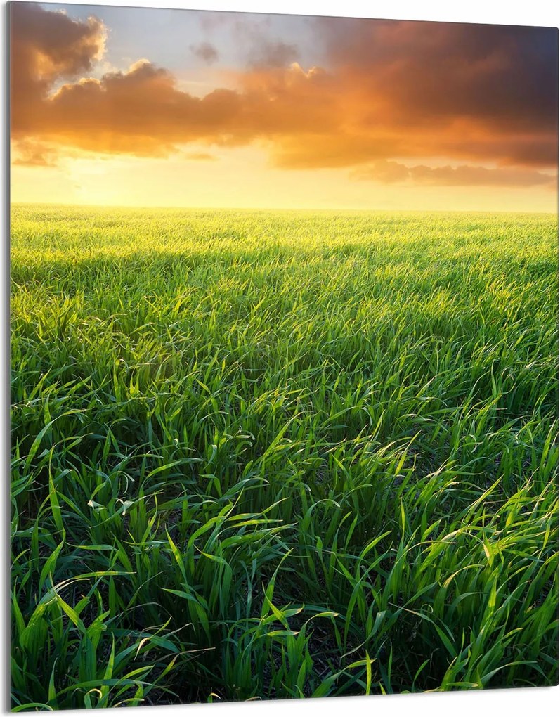 Üveg Vágódeszka 40x52 Kilátás a Konyhába