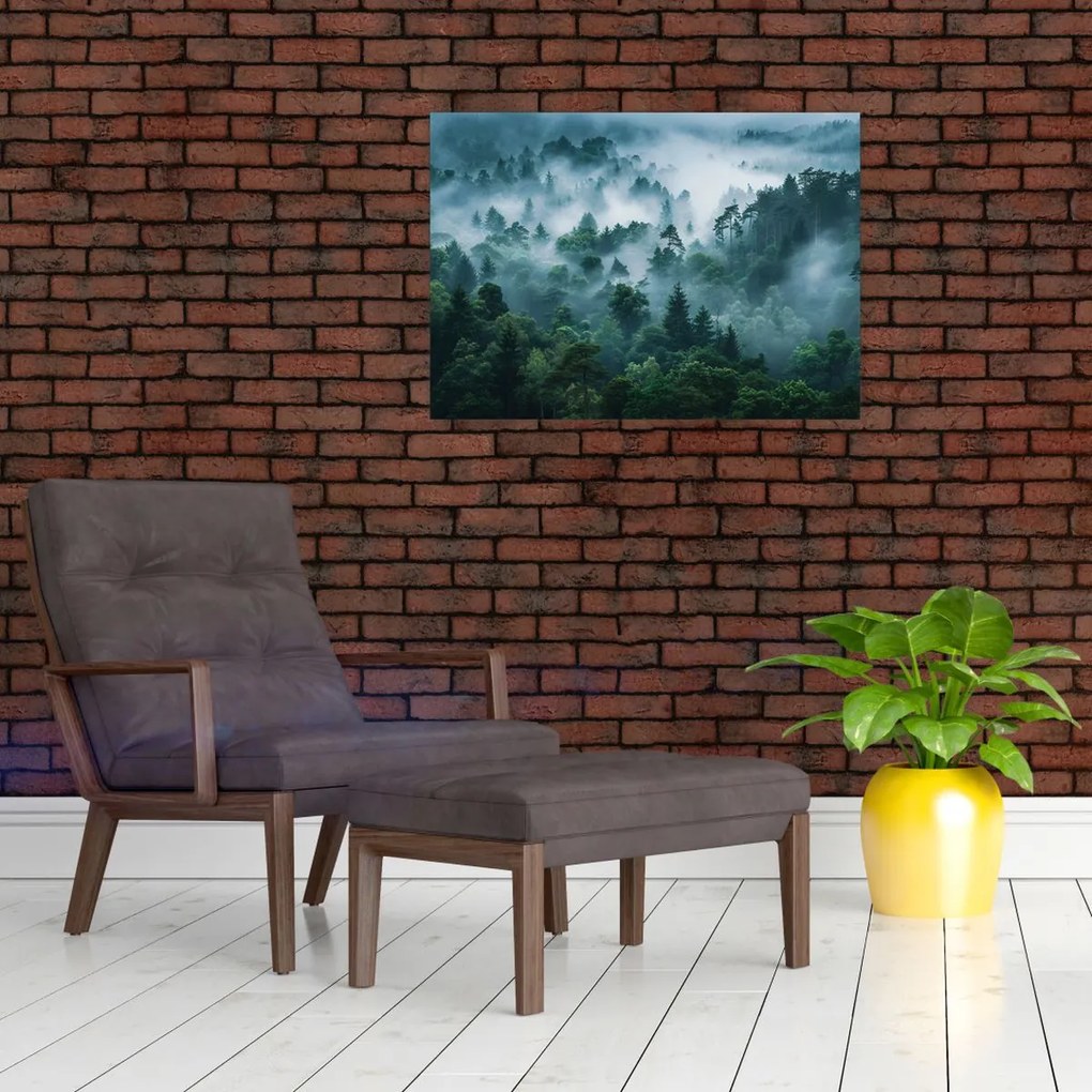 Üveg kép - Erdő ködben (70x50 cm)