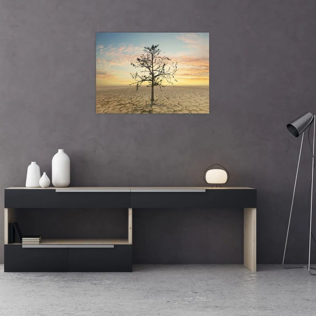 Kép - fa a sivatagban (üvegen) (70x50 cm)