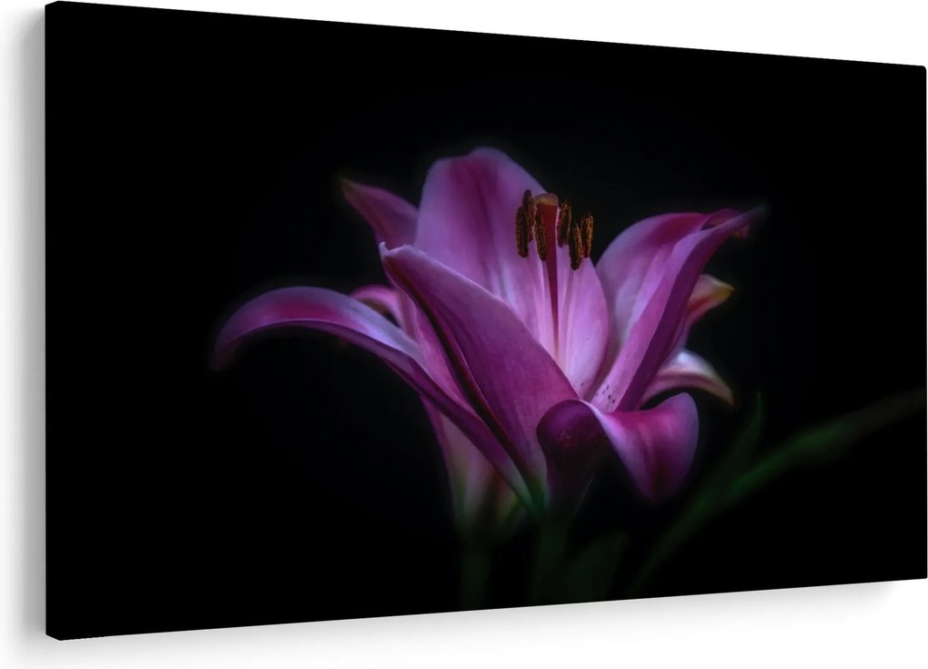 A liliom képe (90x60 cm)