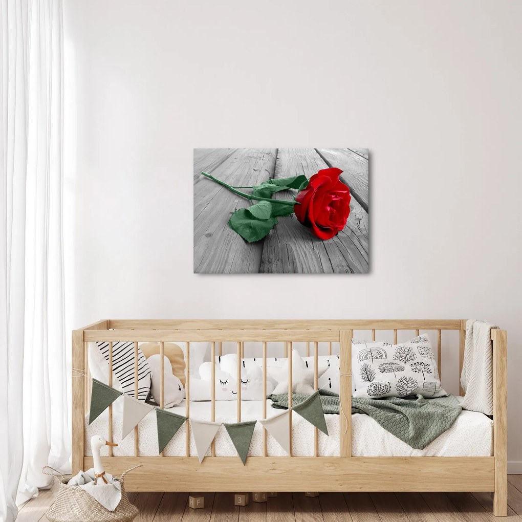 Kép - Piros rózsa zöld szárral (70x50 cm)