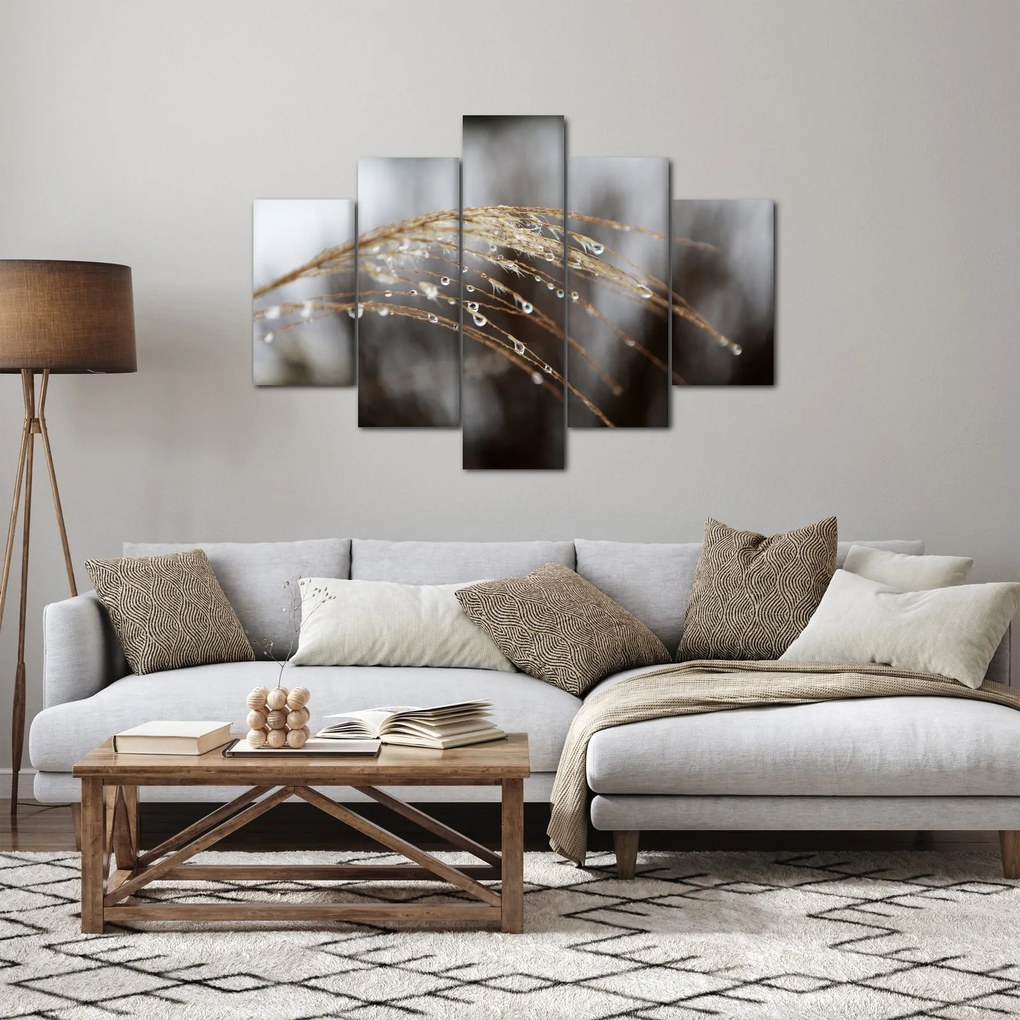 Cseppkép egy növényen (150x105 cm)