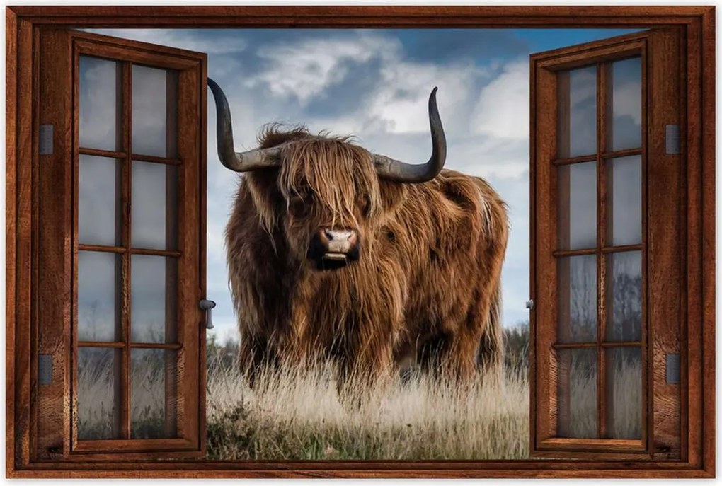 Poszterek 60x40 Skót tehén