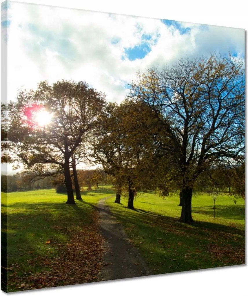 Vászonkép 40x40 Őszi tájkép