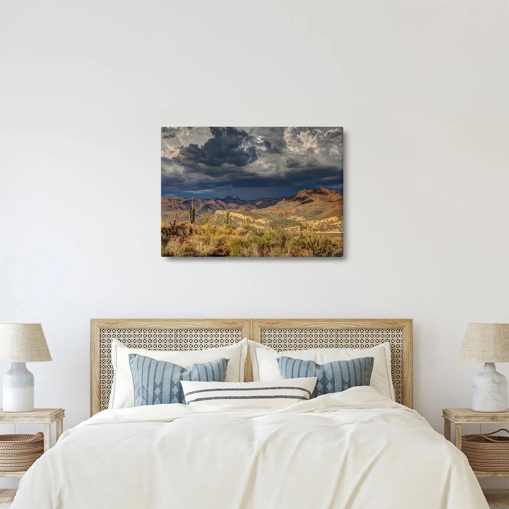 Kép - kaktuszok a természetben (70x50 cm)
