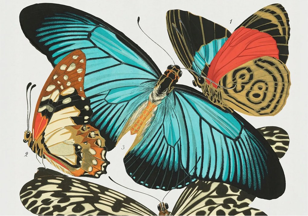 Dekoratív Fotótapéta Hálószobába Színes pillangók 208x146 Ragasztó