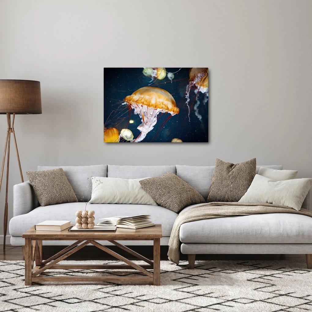 Medúza képe (70x50 cm)