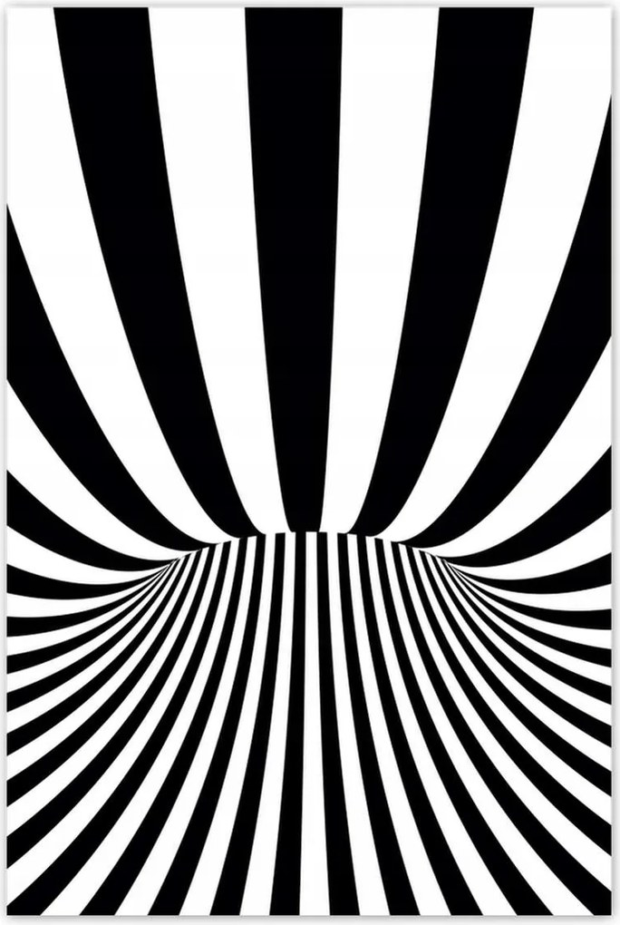 Poszterek 80x120 Absztrakt fekete-fehér