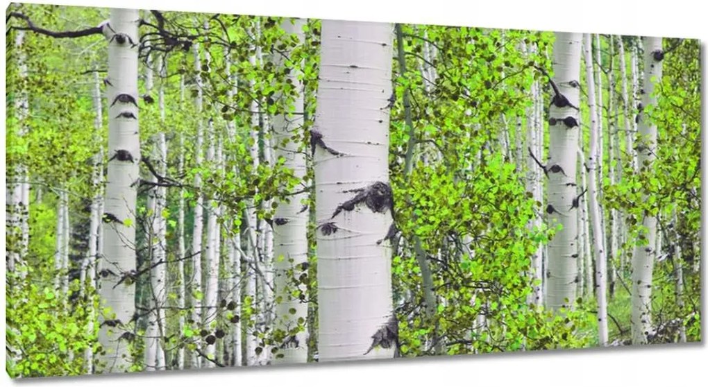 Vászonkép 115x55 Tavaszi zöld