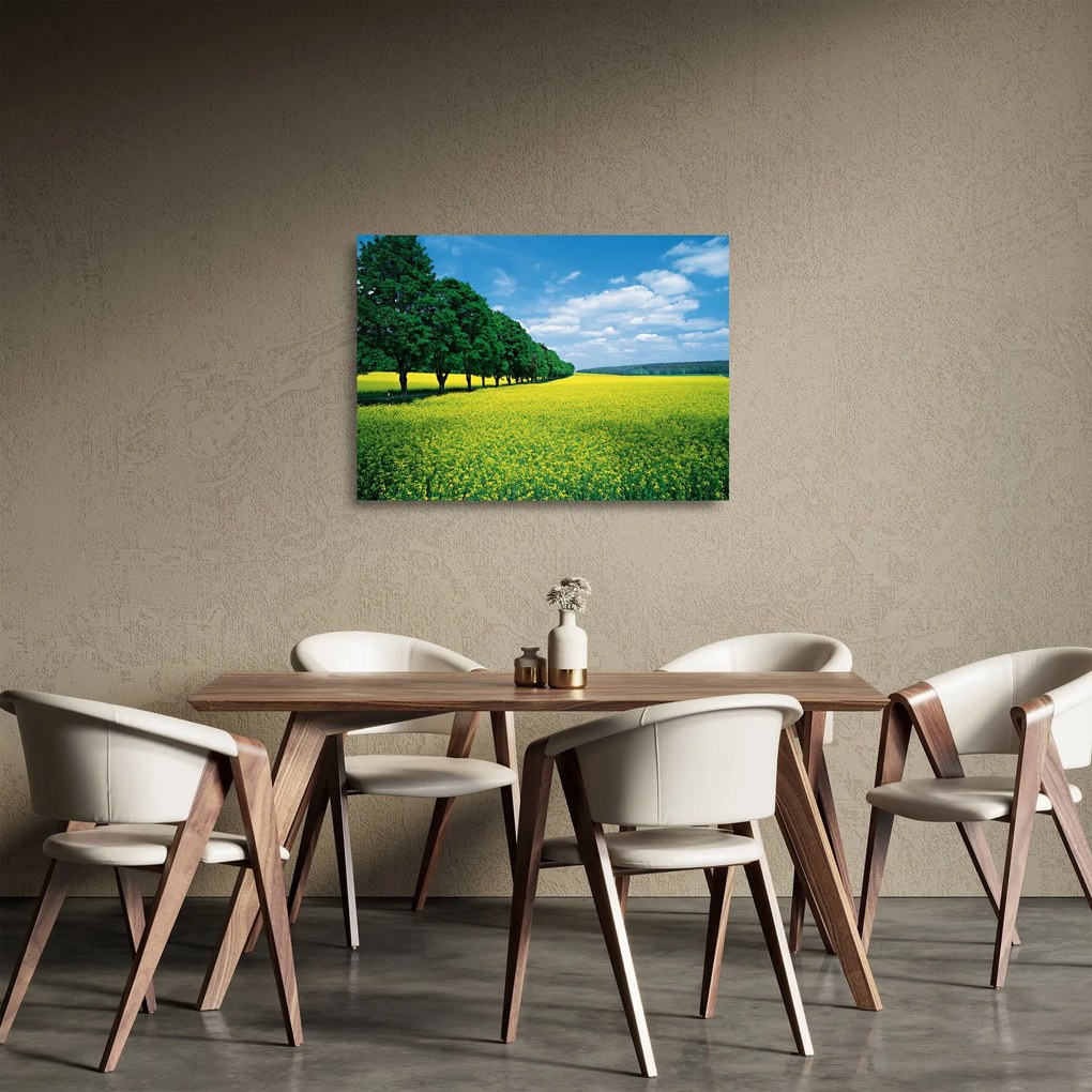 A mező képe egy sikátorral (üvegen) (70x50 cm)
