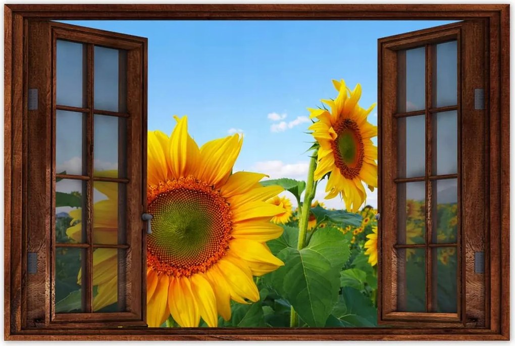 Poszterek 60x40 Napraforgók Égbolt