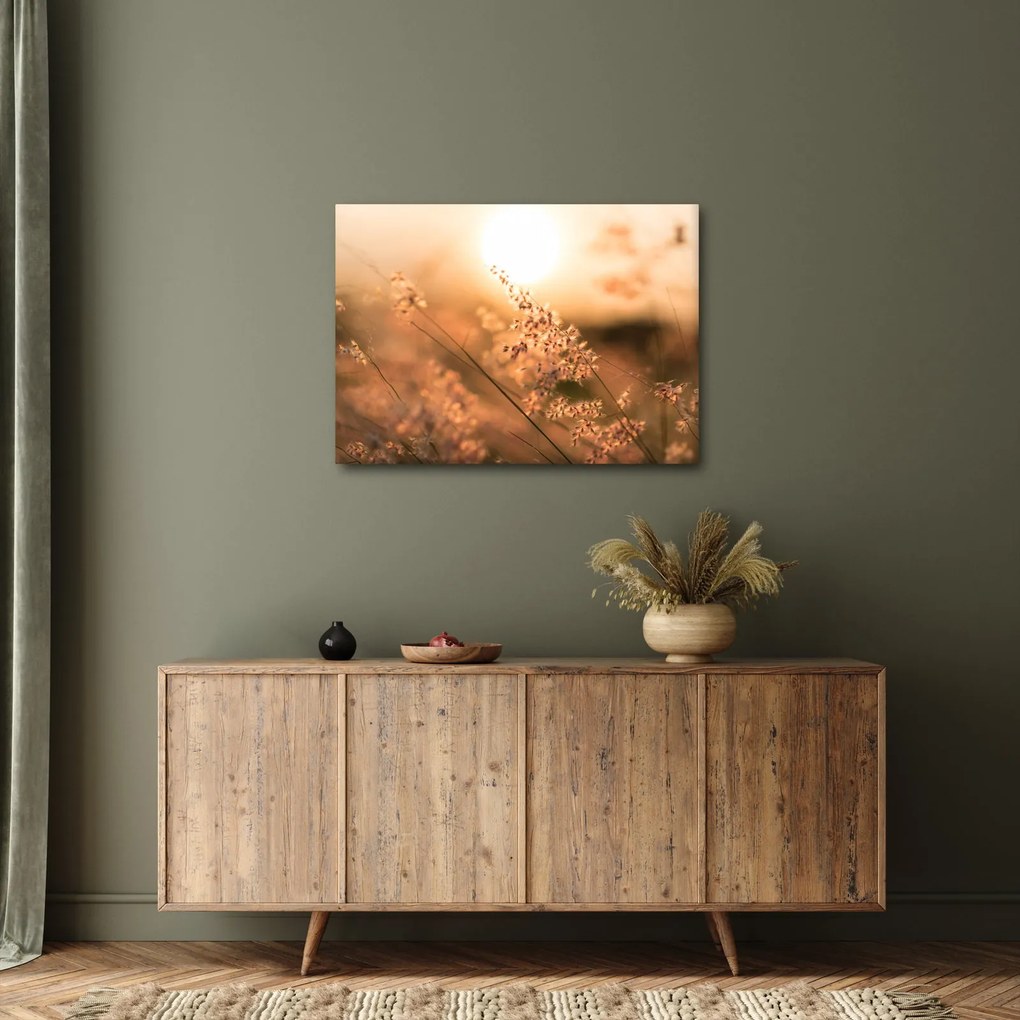 Kép - Fű a napon (70x50 cm)