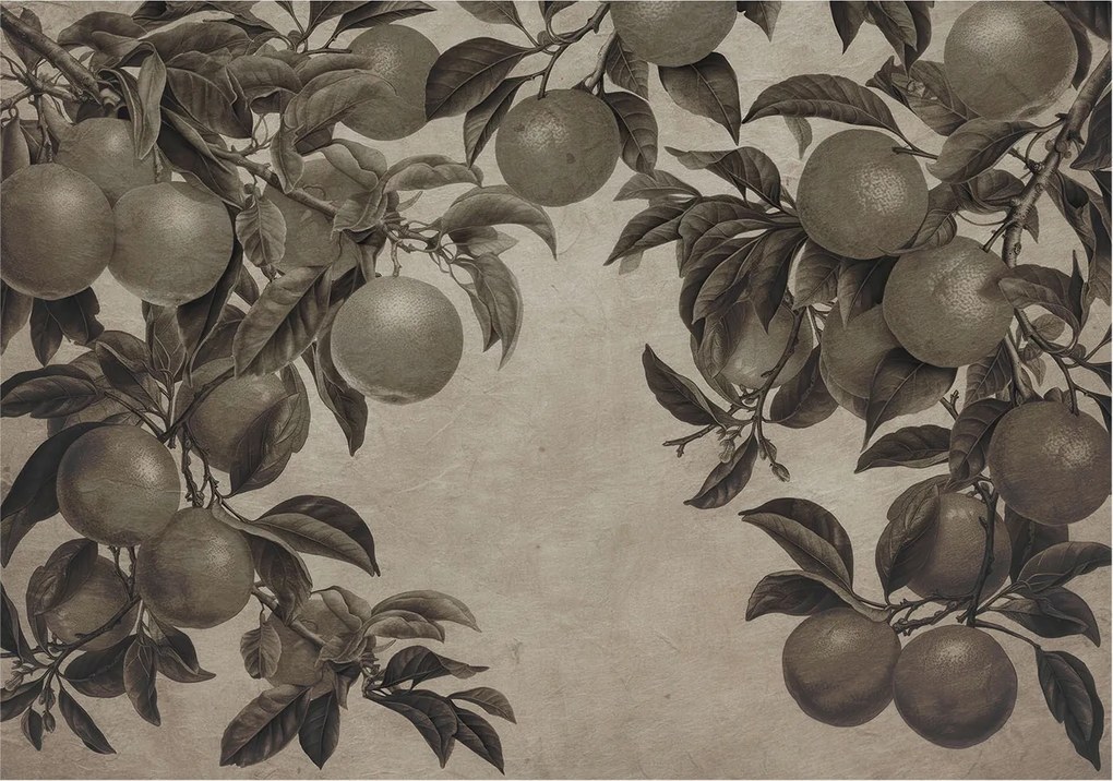 Dekoratív Fotótapéta Hálószobába Gyümölcsös minta 208x146 Ragasztó