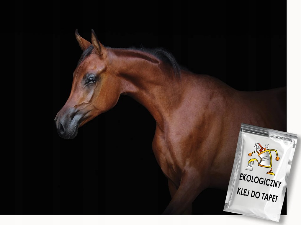Fotótapéta Flizelina Elegáns Barna Ló Fekete háttér 250x175 ragasztó