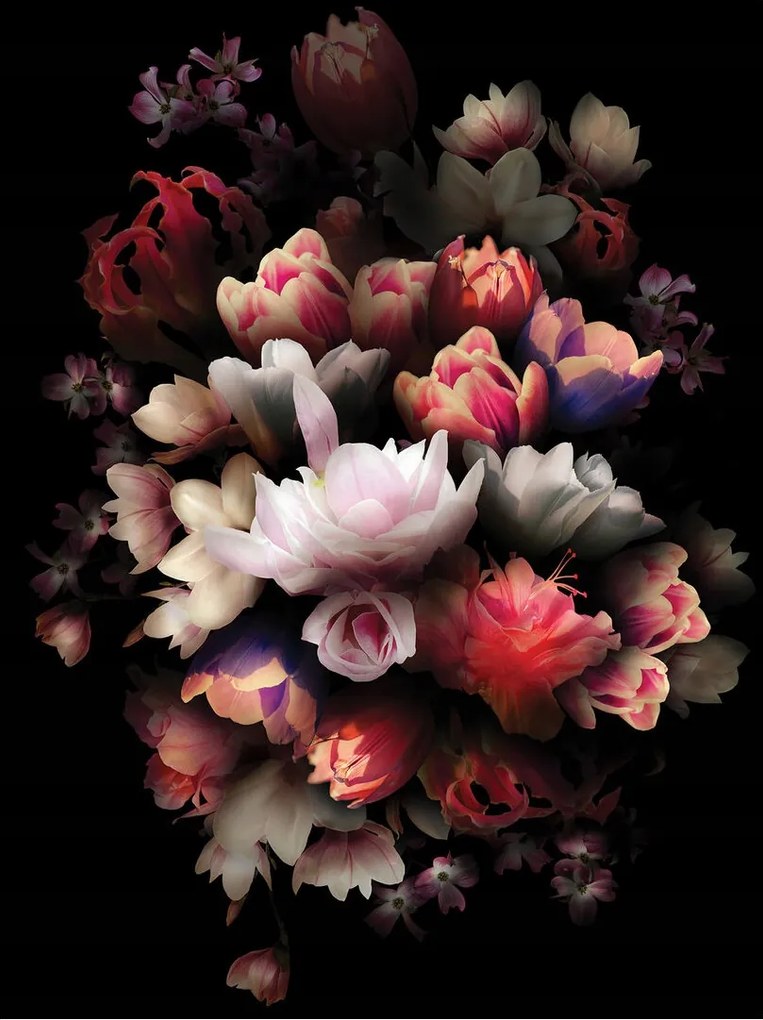 Fotótapéta Fekete tulipánok bazsarózsa virágok fekete alapon 184x254 +ragasztó